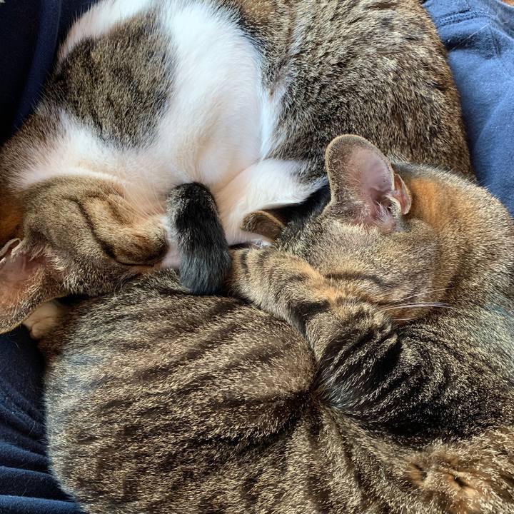 B746cb23 4f4d 4df6 8721 731ff544d524 1577581377011