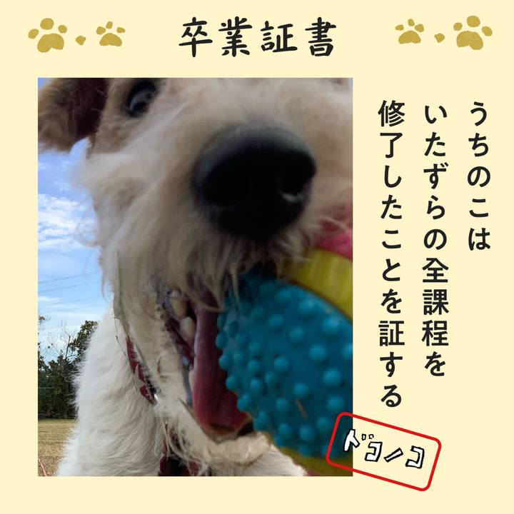 B746f38f d544 417d a1a2 6214c226c50c 1772023798243