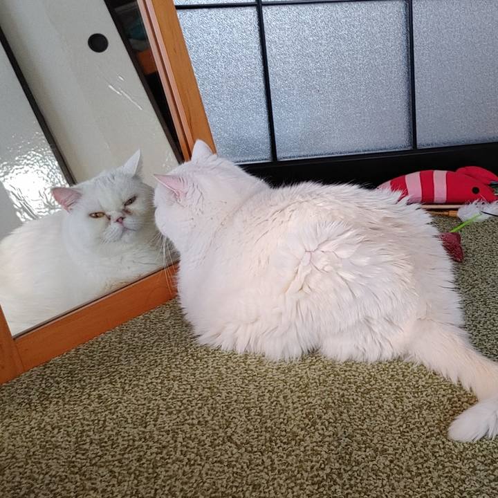 B7470dd5 b638 47e5 85e5 4ccb39fd72cb 1725781383110