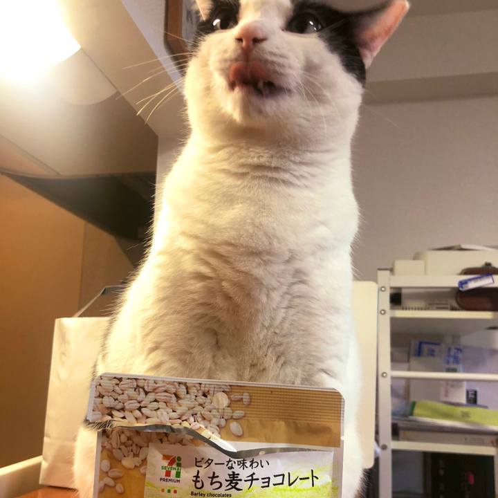 B7471f96 7c07 4793 a3c2 8b4d928edb30 1558603435903