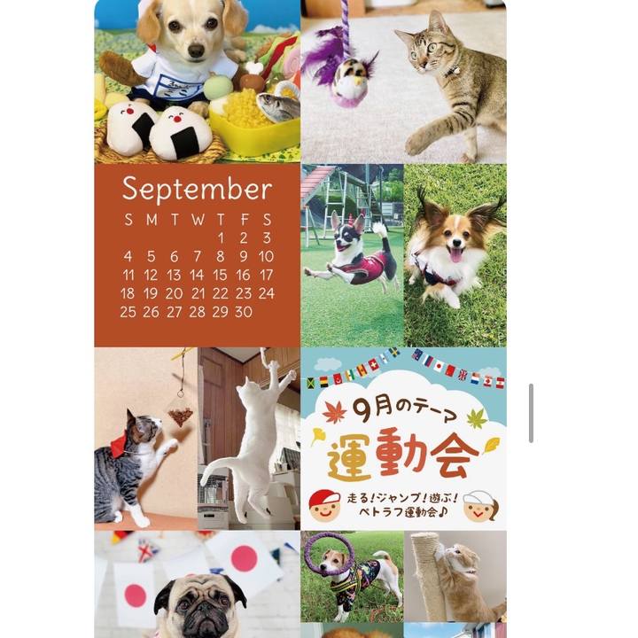 B7472834 9dc5 41a3 9bf0 f4dca6d3f865 1641253430762