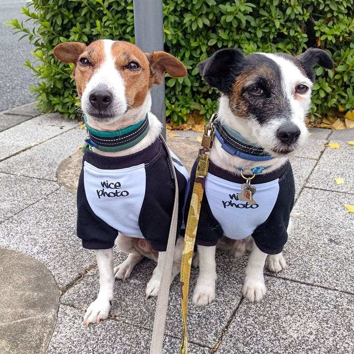 B7472891 edcd 4acc 9bb6 5edb2025ac2b 1702265146198