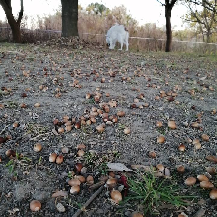 B74740e6 d044 47f3 a00b 60579b67e780 1608076486201