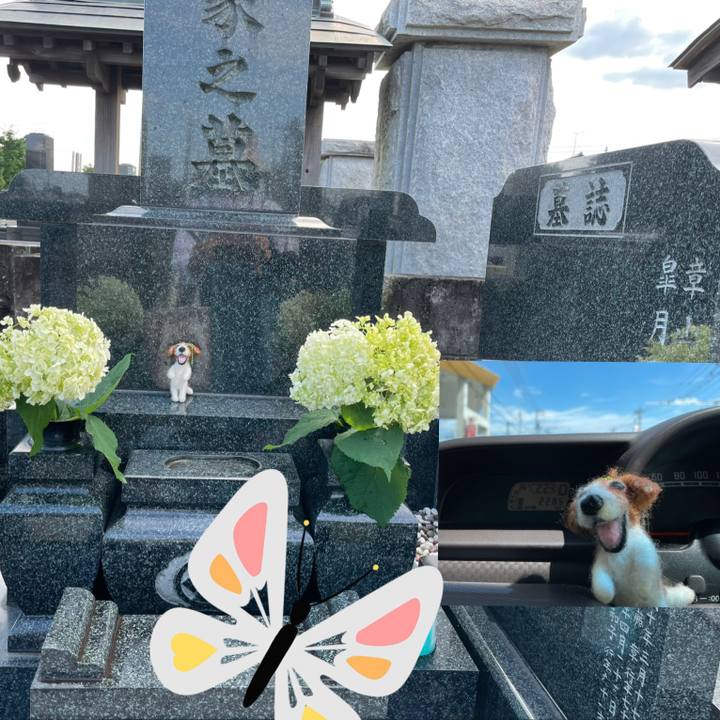 B7474c36 f0a3 4a64 acea bd96f8f4ab8f 1625897214373