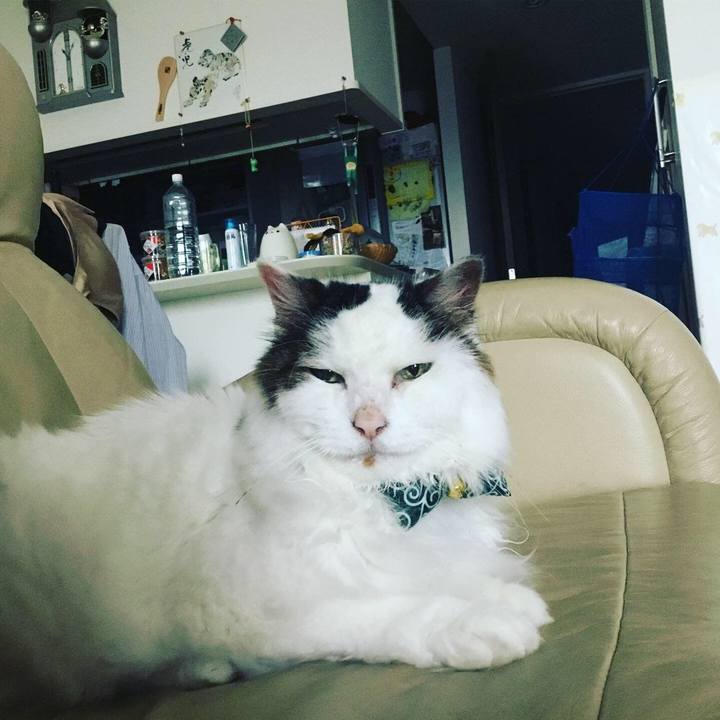 B7477cd3 0f98 4b34 9dc2 762aa8a69dc8 1634612817206