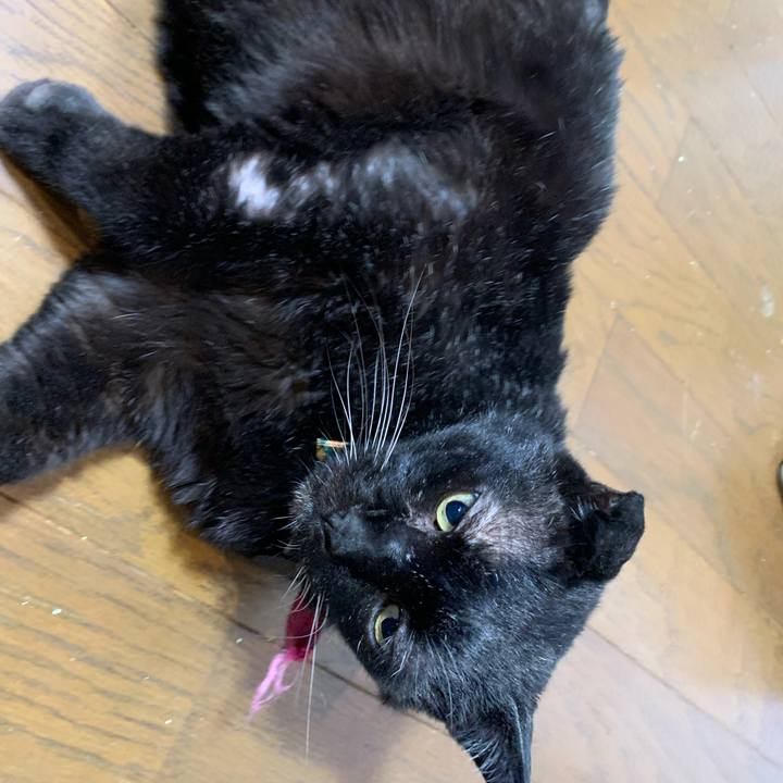 B747f295 9bda 4c8f a396 a375316a8fcd 1623058276446