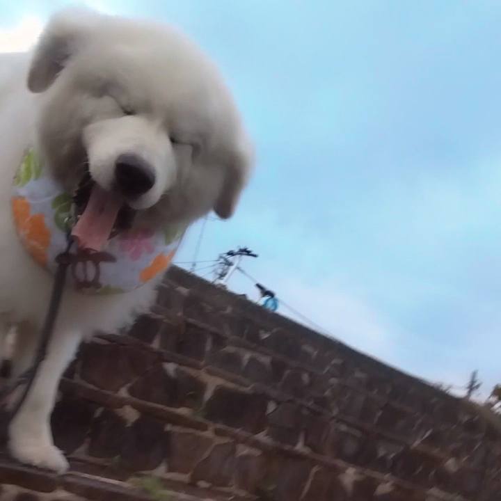 B747f895 9cb6 491d 84dd 93eaaa2c07b7 1688169563218