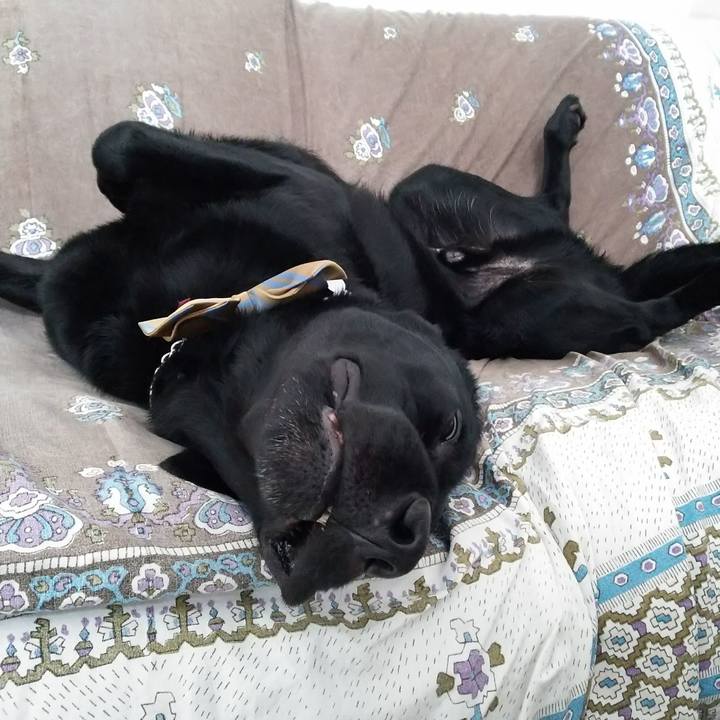 B747ff75 f0c3 4baa 9107 8a9a457d7877 1691808826297