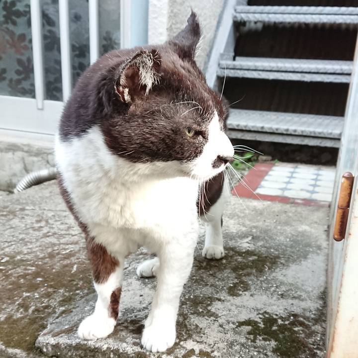 B7484bce 0bc6 47fe bb22 32fb7fa27628 1616148940827