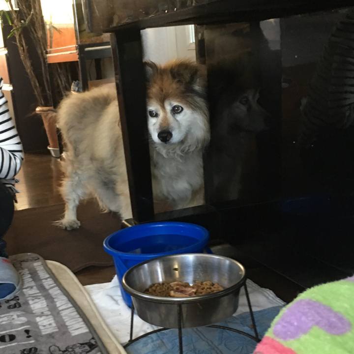 B748974f 6297 4275 b3e6 18ecda31ed18 1556626989002