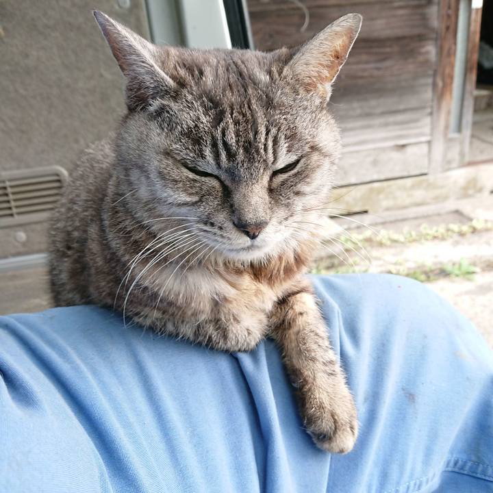 B7489f66 f9c8 4646 8fe1 6f1446c164b0 1569031006978