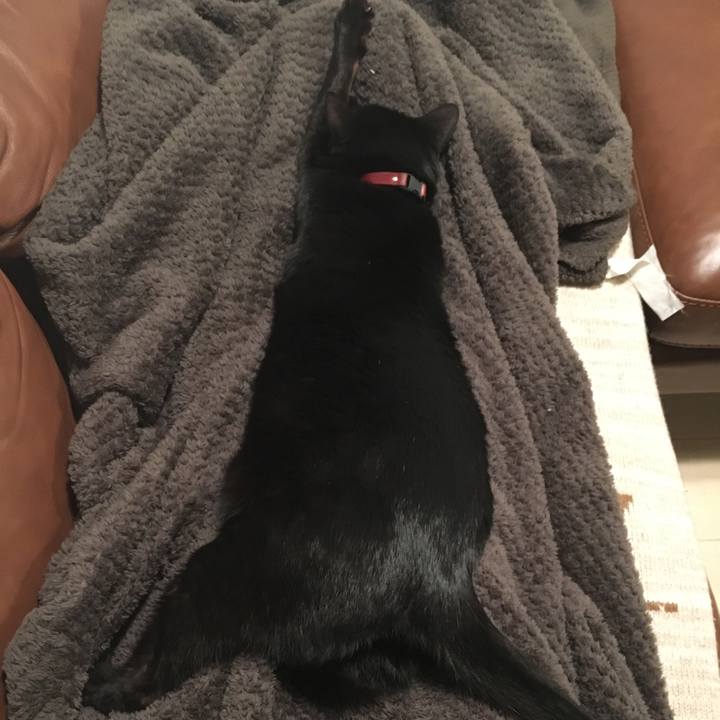 B748e208 8444 4ea9 8fe1 7ba2eb3e9298 1520780369734