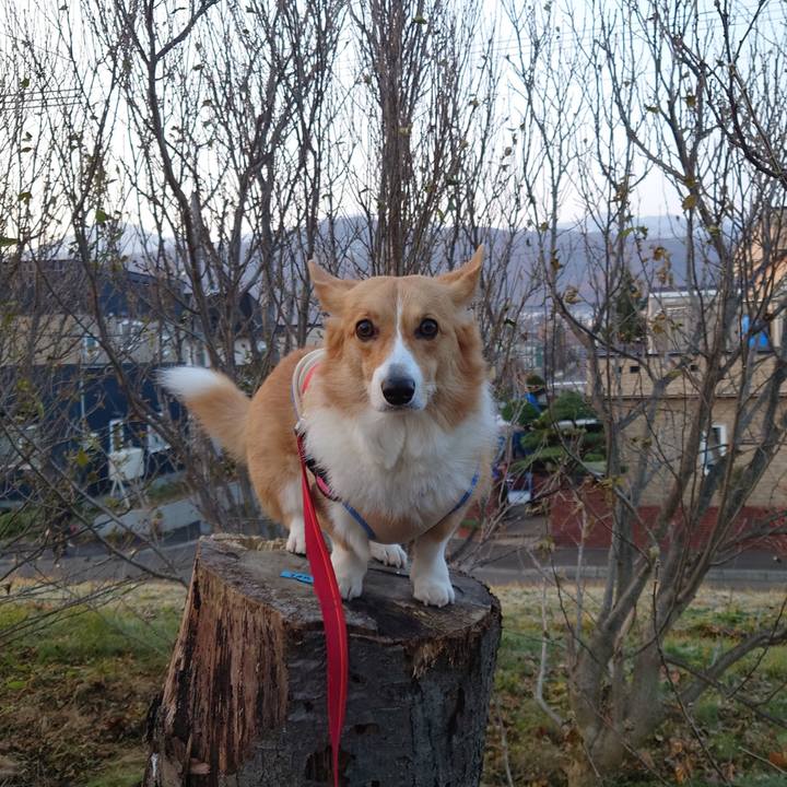 B7490df2 45bf 4f9c a5d0 719d06bddb62 1764027908139