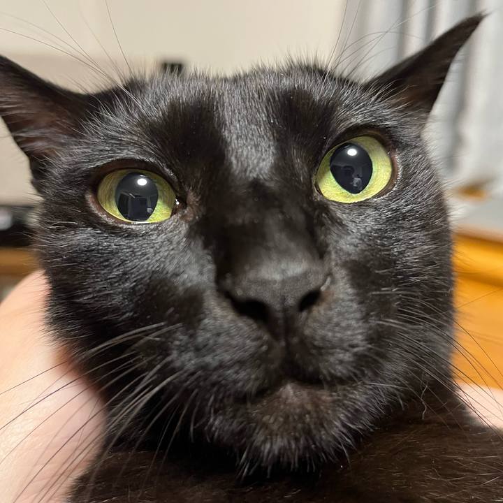 B7492ab3 ee24 40de a49c 04c2b8031157 1758178109547