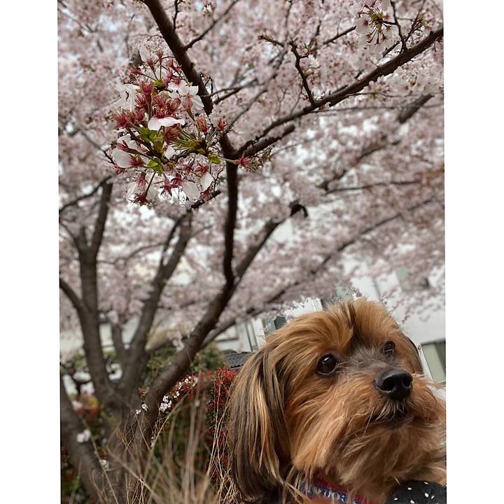 B7492fac a3dc 429f 8443 2779d265742e 1648700353917