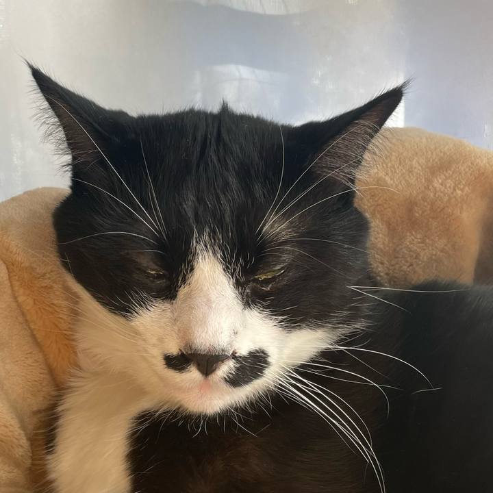 B7494e6c dbde 454b 9a82 4d96dd113545 1671151122660