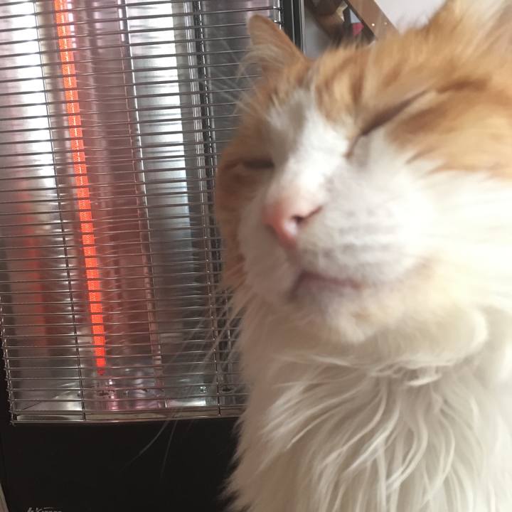 B749647c decb 47ea b231 29cc6a68ccfc 1575421503722