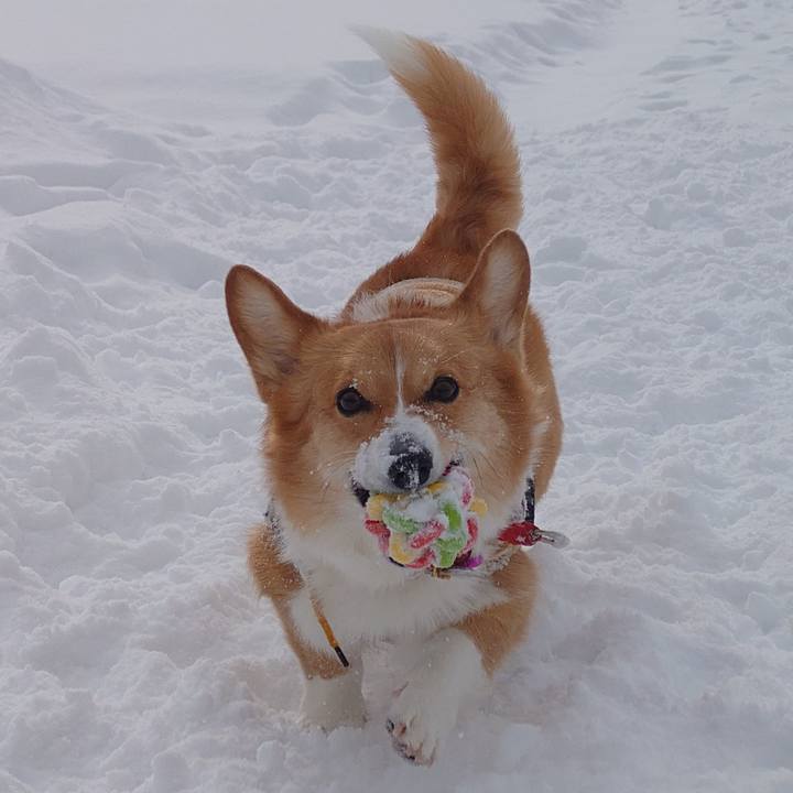 B74970b3 a5e3 4e13 bfa5 a6b1cd6f1b0f 1770354604041