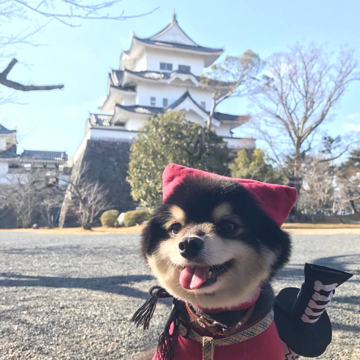 B74974de cbfd 4117 b656 856567960e7a 1549376172724