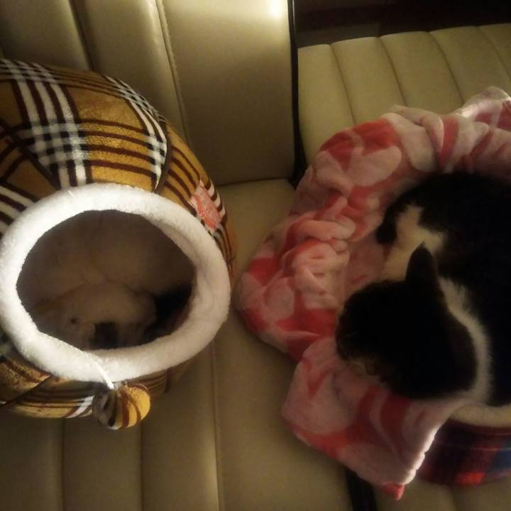 B7499fb3 a188 49eb 8277 ea61d5f718a1 1551538319336