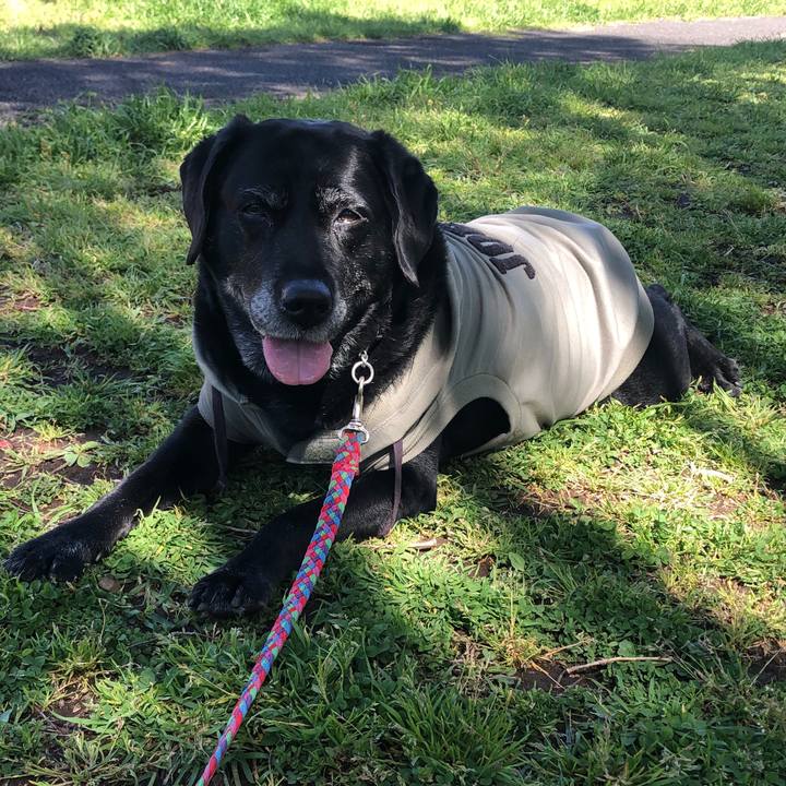 B749af33 b9e2 4ec3 8675 c6444f183a8d 1586824380063