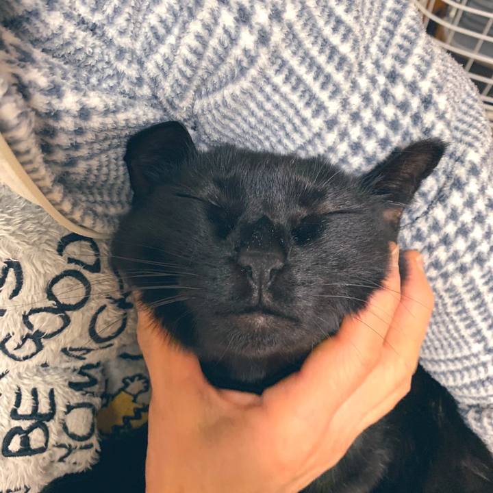 B74a31e7 c3d1 43d3 8797 cdb4e9e15d6c 1549238923721