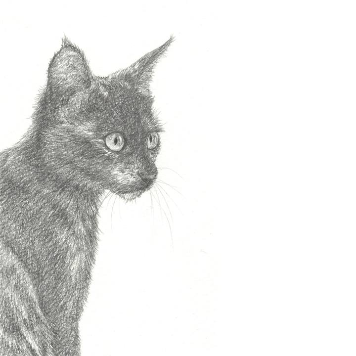 B74a5107 51fd 42b4 81fd 6069c705e375 1549030371033