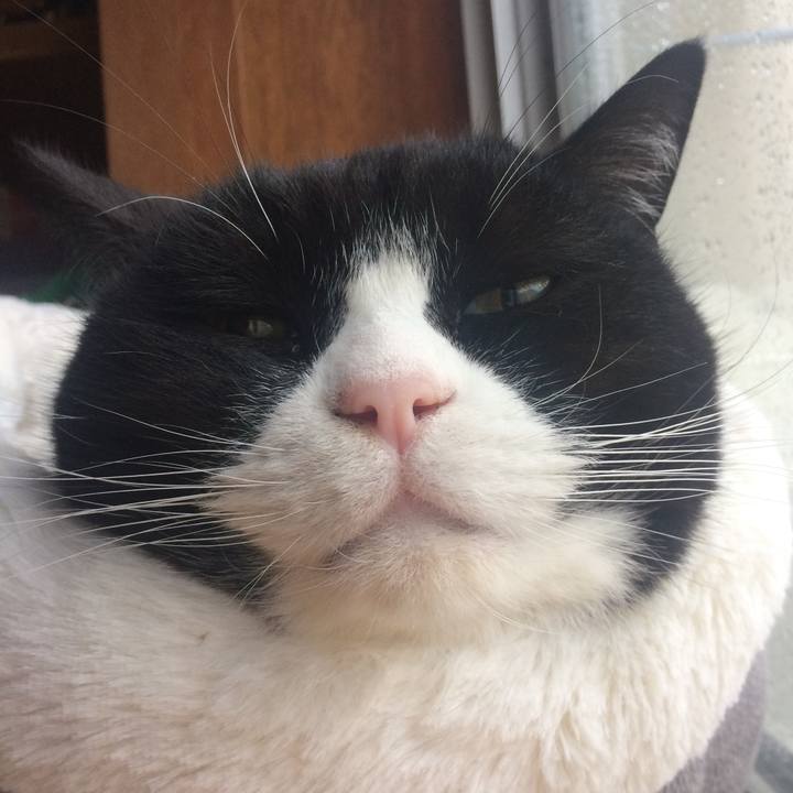 B74a6125 d0fd 4a0f a039 646828779f10 1520551411691