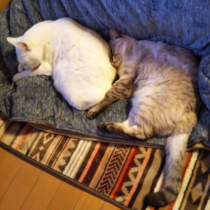 B74a9ae6 a9b3 4c65 bc0e f00815ae7e57 1548415332342