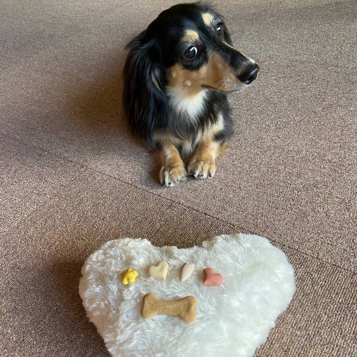 B74aa9fb 1b64 481f b53a e612defaa884 1721943736041