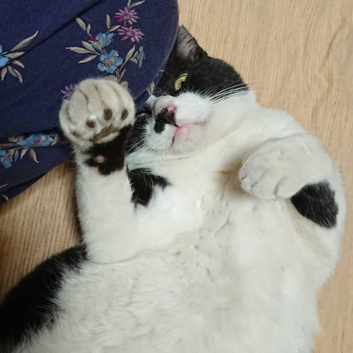 B74b123c c70f 4a54 93da 13683a8e7b42 1601973870063