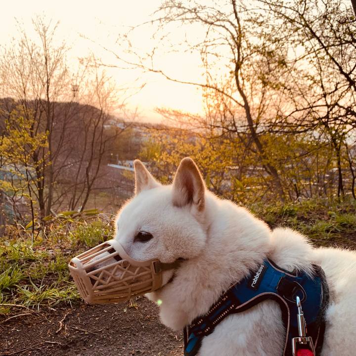 B74b1e57 bec6 40df b3ad 1a656bfb74aa 1651696228993