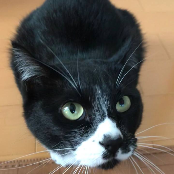 B74b271b f082 4253 8e7c cc2a5edf25bc 1575862575798