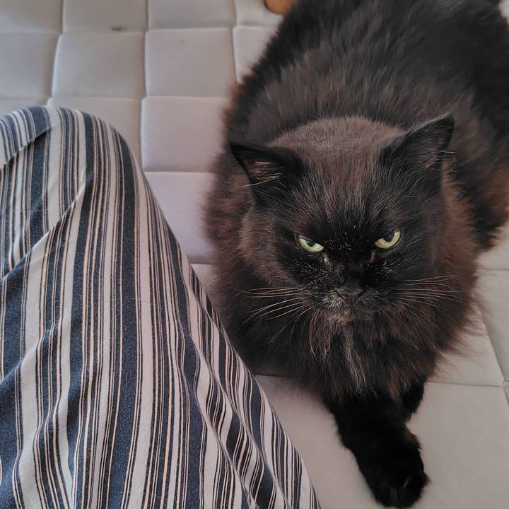 B74b33cf 9d24 4886 84d0 5587d15911b1 1723187893070