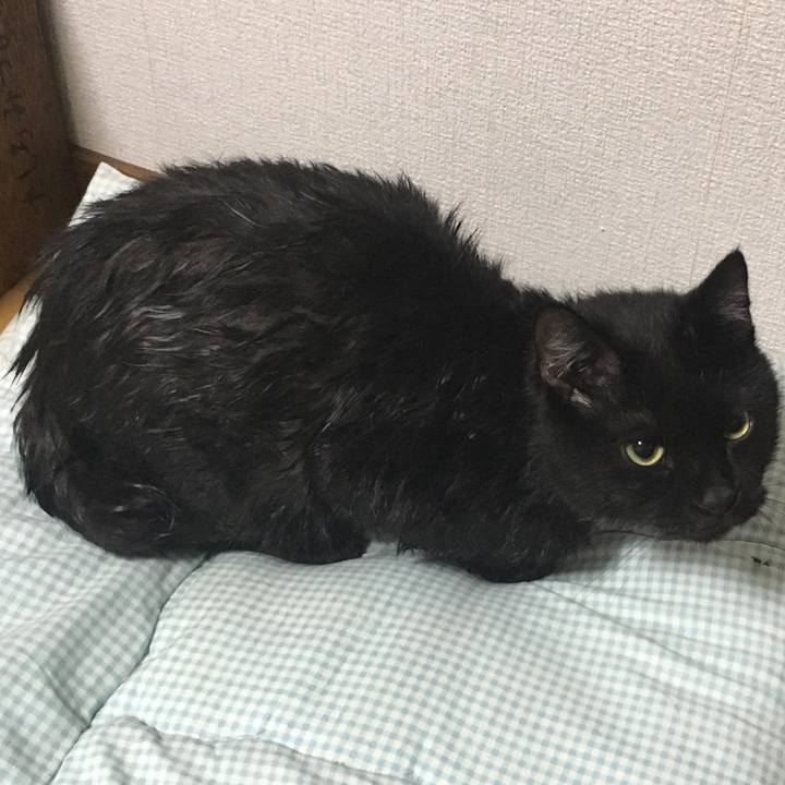 B74b4c07 1d37 422a ac7d 6bda3b75b462 1534475799147