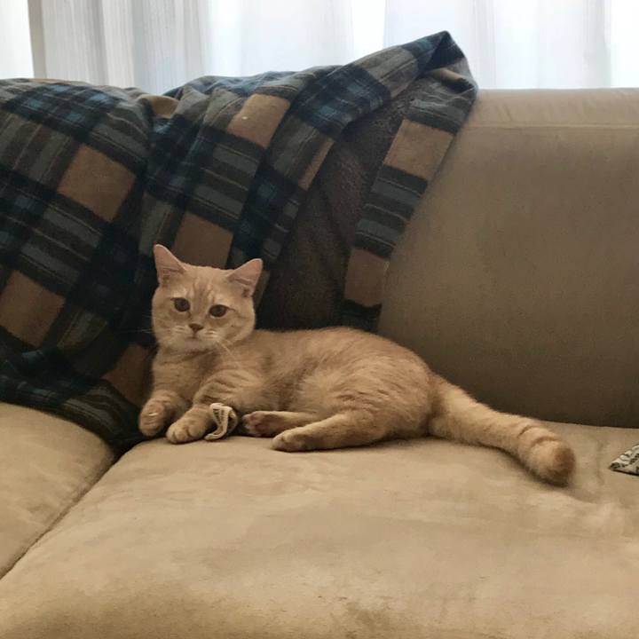 B74b52ab d508 4ad8 a3cb 43fda1dcebbe 1530484766100