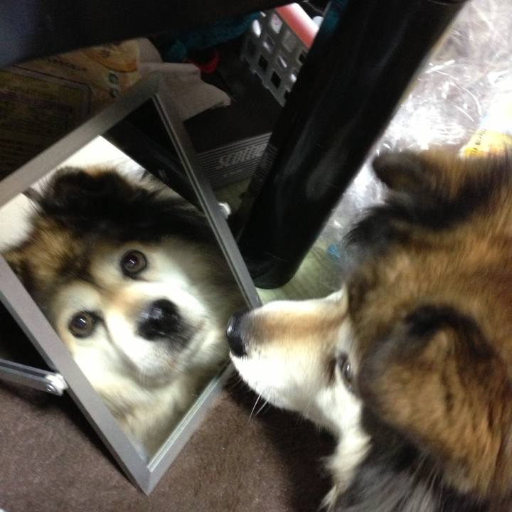 B74b60cc d5c8 42a3 a22b 74cc15fe9456 1594689087338