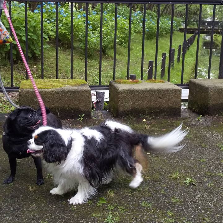 B74b6a8c d4d8 4ede 9ba4 da0b55111269 1560265221190