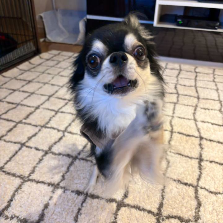 B74b7885 b692 4e5e bcec cb7bbf13c0df 1735576940540