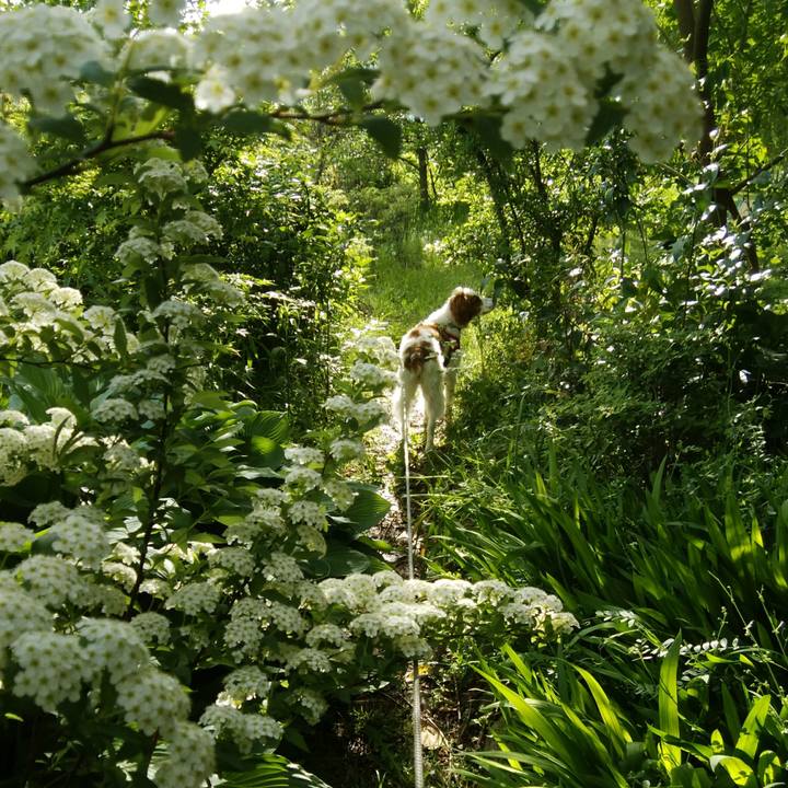 B74b9489 6869 4a14 92ab 133f080f1f5c 1524702027629