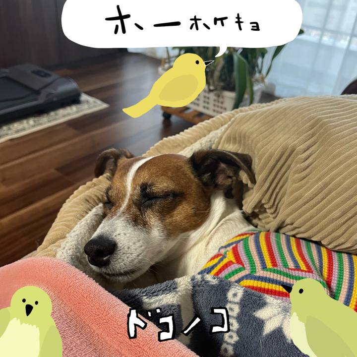 B74bb3e9 a1aa 42e4 9628 3655eac875d2 1711448223626