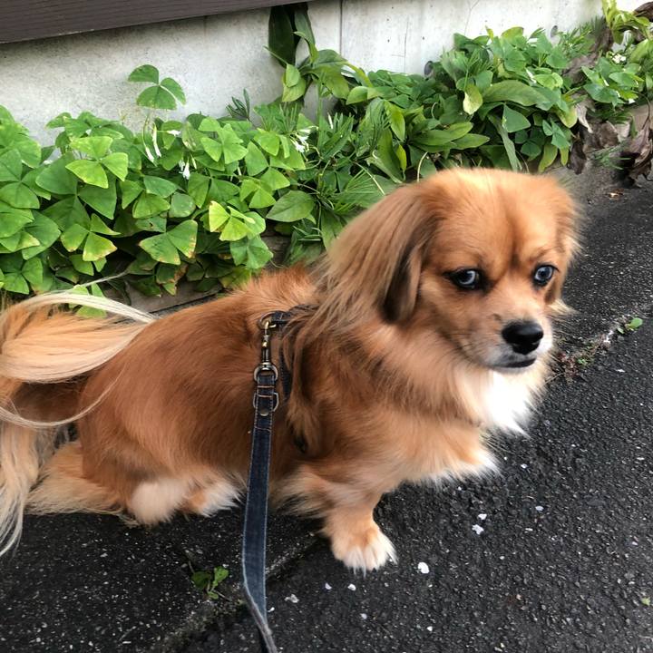 B74c7af6 a702 44ae 990c 098c8395a458 1540417354205