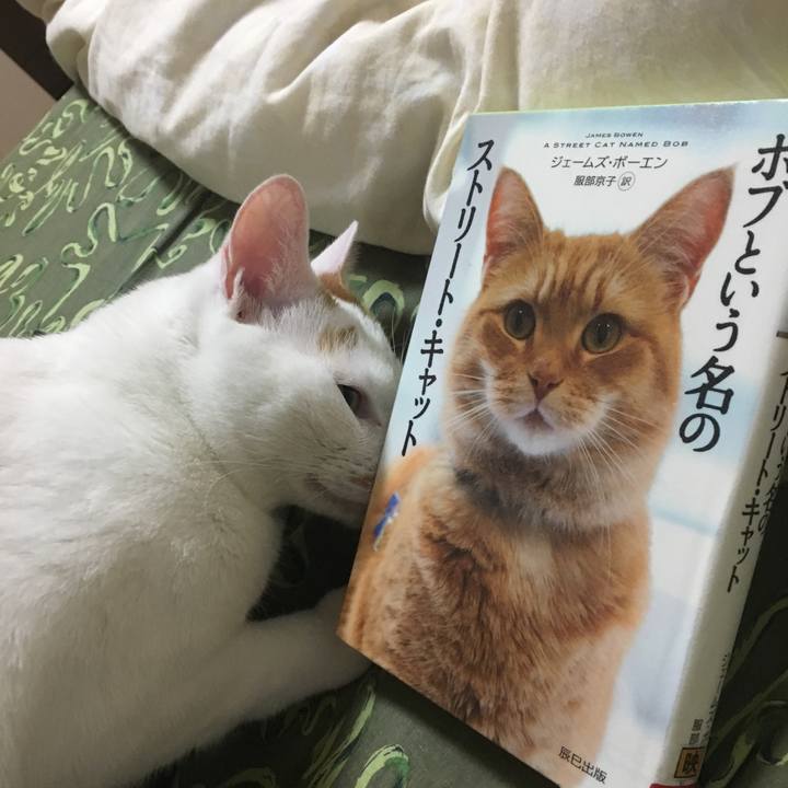 B74cdec8 eaa3 449a 8e67 059031e2d70d 1524392872411