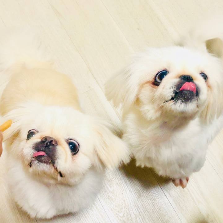 B74d44c4 24f4 4842 a36e aa6c8931a166 1599484610353