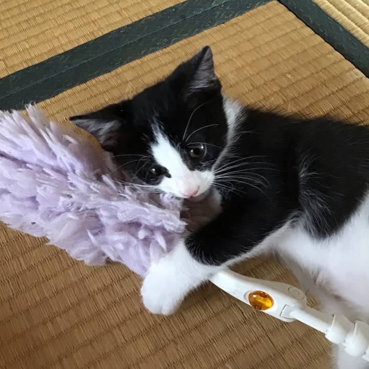 B74d6811 2c95 42c5 bb69 2610e9ff10ec 1625032654216