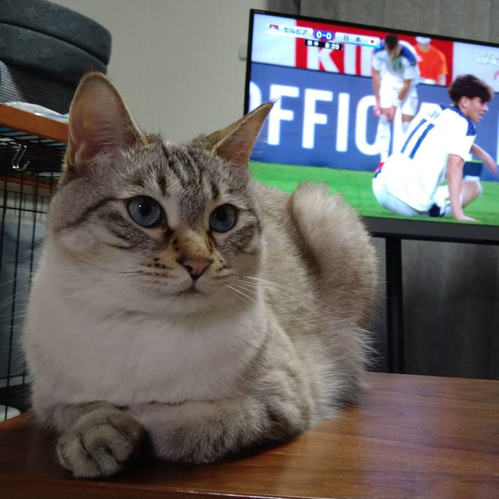 B74d95ce f626 44a8 976c d9fc5a2451a5 1623408259016