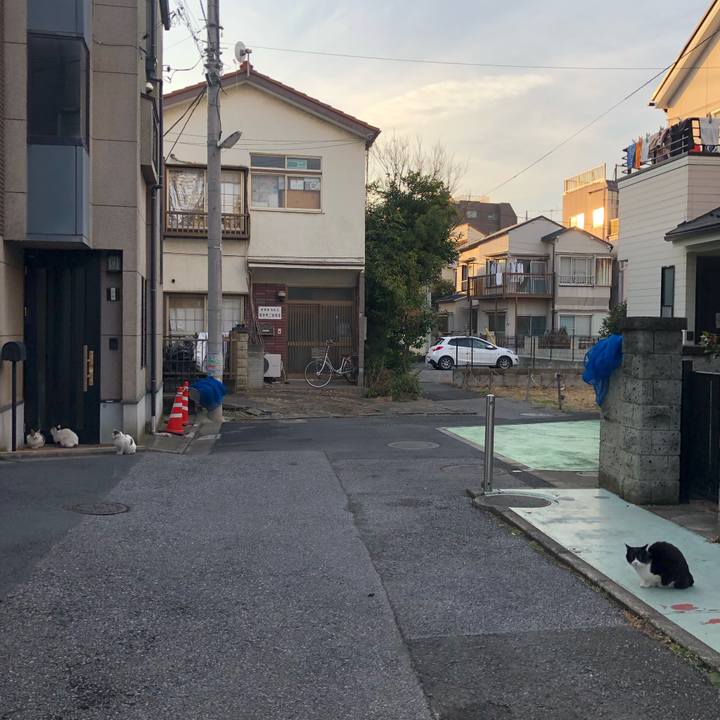 B74dcad4 9d0c 46b5 9954 81f73dc50820 1550220716413