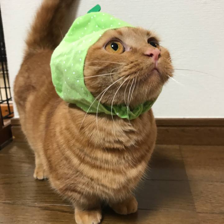 B74dd32f f1c6 43a9 9acf fa013f2146d6 1526813584849