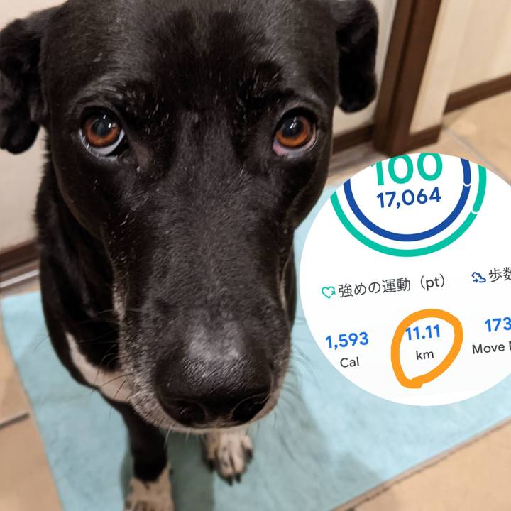 B74e06cb fad4 43a0 b7a2 d2f46d436202 1675681681143