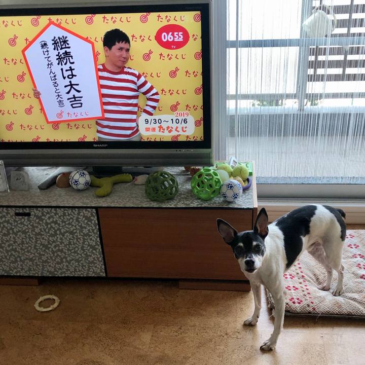 B74e2538 109b 4a34 996b ca01b6e0899d 1569798608076